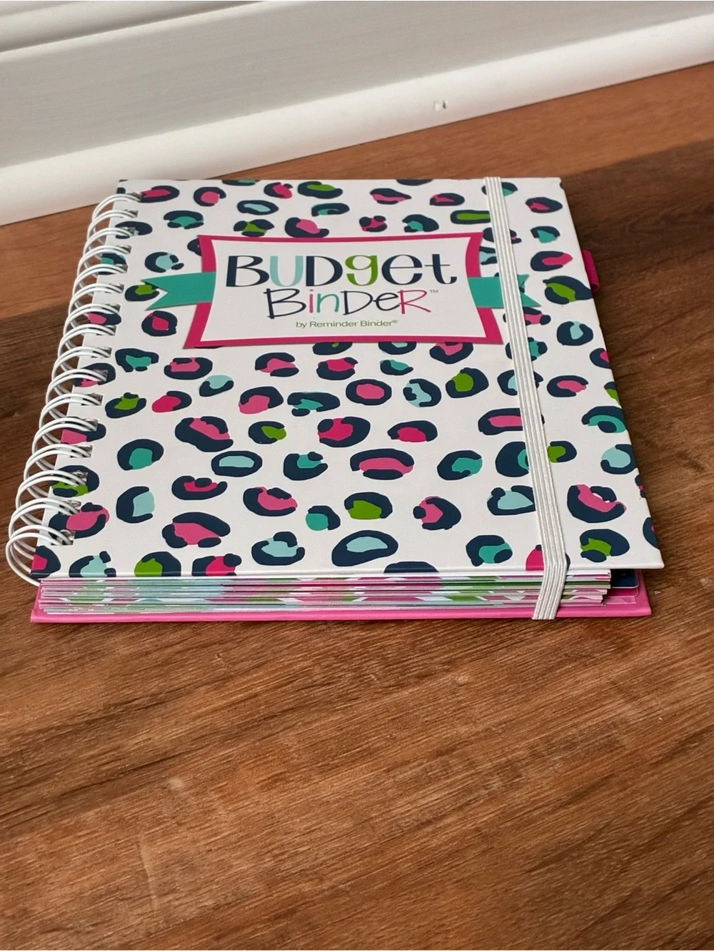 Denise Albright 12-Month Budget Planner, Bill & Expense Tracker, Undated, NWT